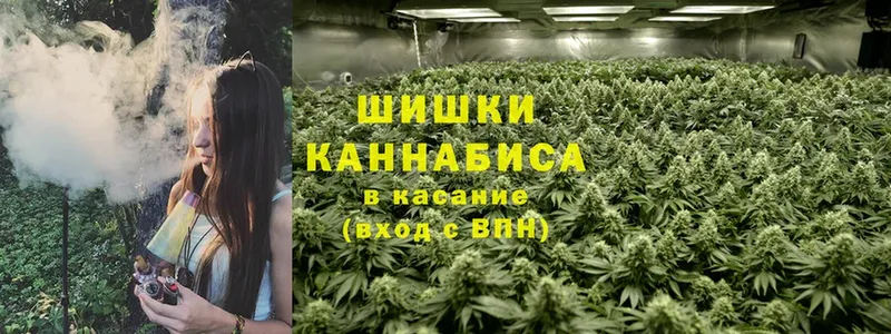 магазин    Вольск  Бошки марихуана SATIVA & INDICA 